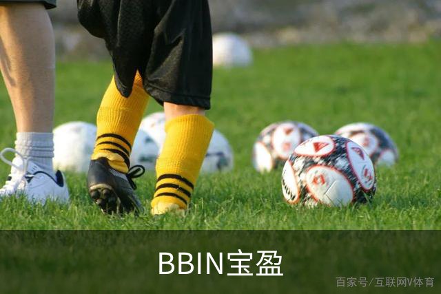 关于BBIN宝盈